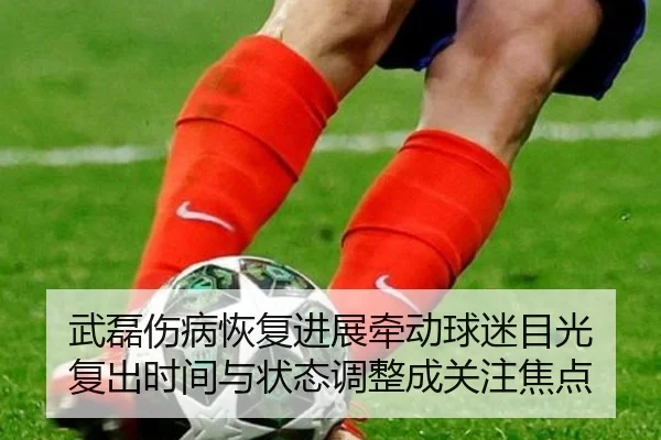 武磊伤病恢复进展牵动球迷目光 复出时间与状态调整成关注焦点 | kaiyun